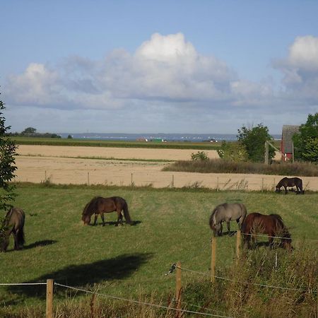 Laegenhet Lillisgarden Vendégház Vallåkra Kültér fotó