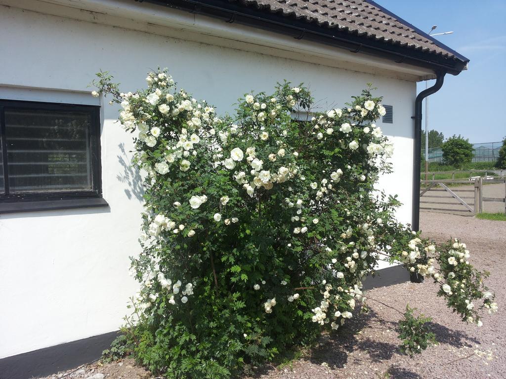 Laegenhet Lillisgarden Vendégház Vallåkra Kültér fotó