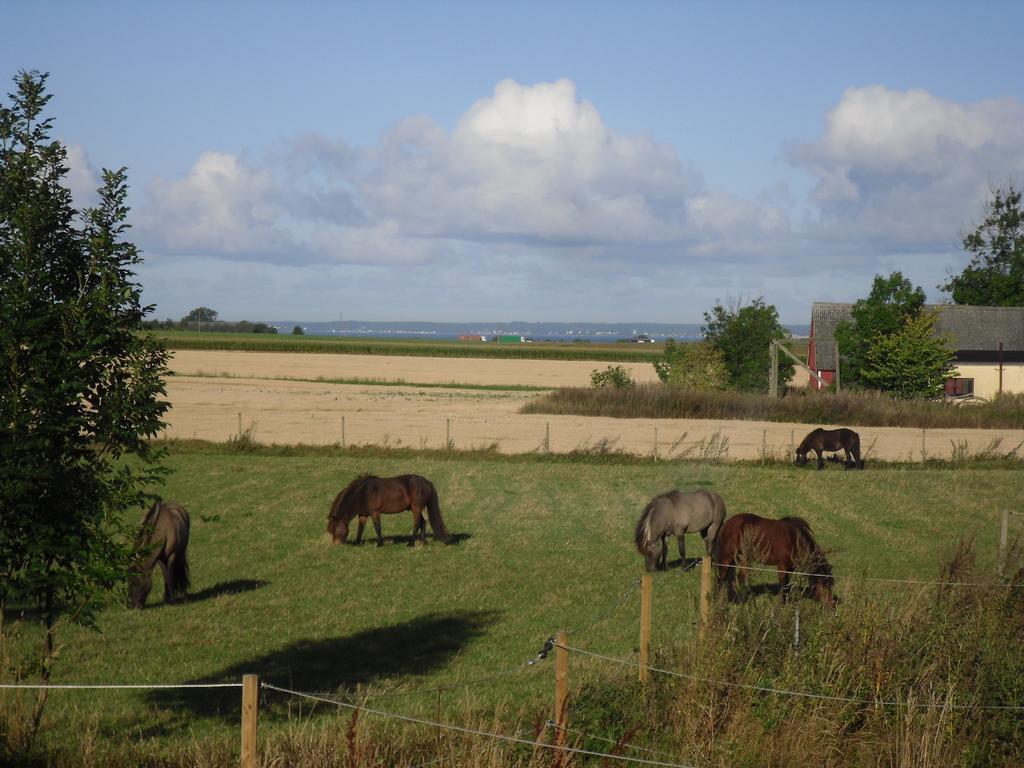 Laegenhet Lillisgarden Vendégház Vallåkra Kültér fotó